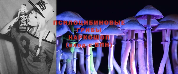 прущие грибы Наволоки