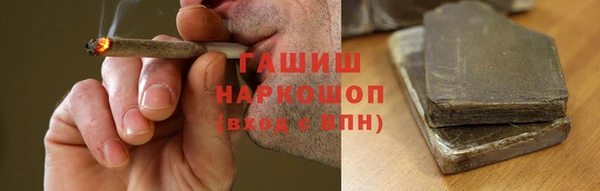 прущие грибы Наволоки