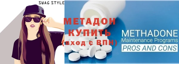 прущие грибы Наволоки