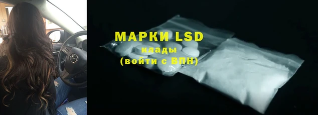 прущие грибы Наволоки