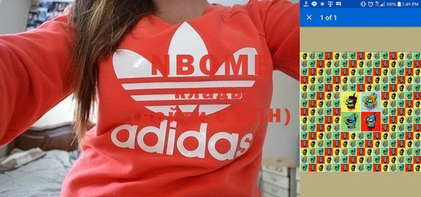 прущие грибы Наволоки
