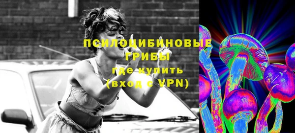 шишки Навашино